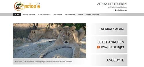 Referenz für einen großen netzSpider